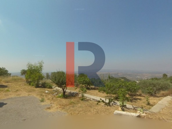 الصورة 1 من 2