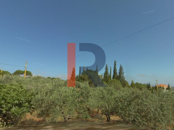 الصورة 1 من 2