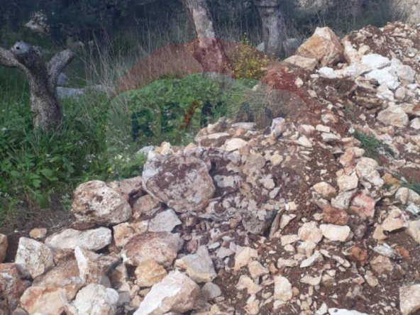 R9-1960 Land 2205 sqm for sale in Btouratij - Koura, Ideal for Residential Development — Photo 4 of 5