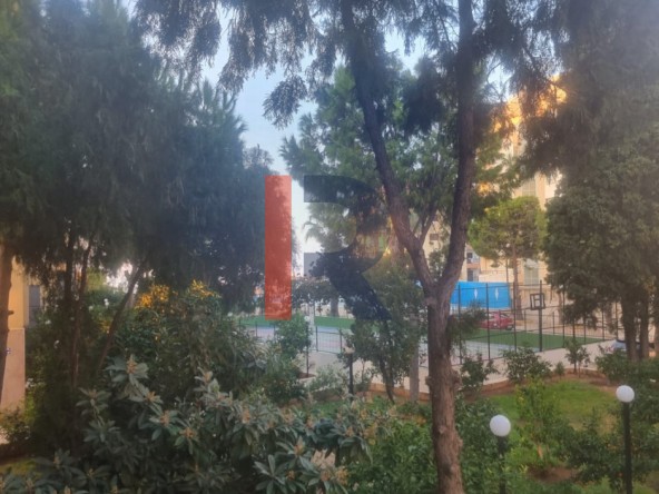 الصورة 1 من 13