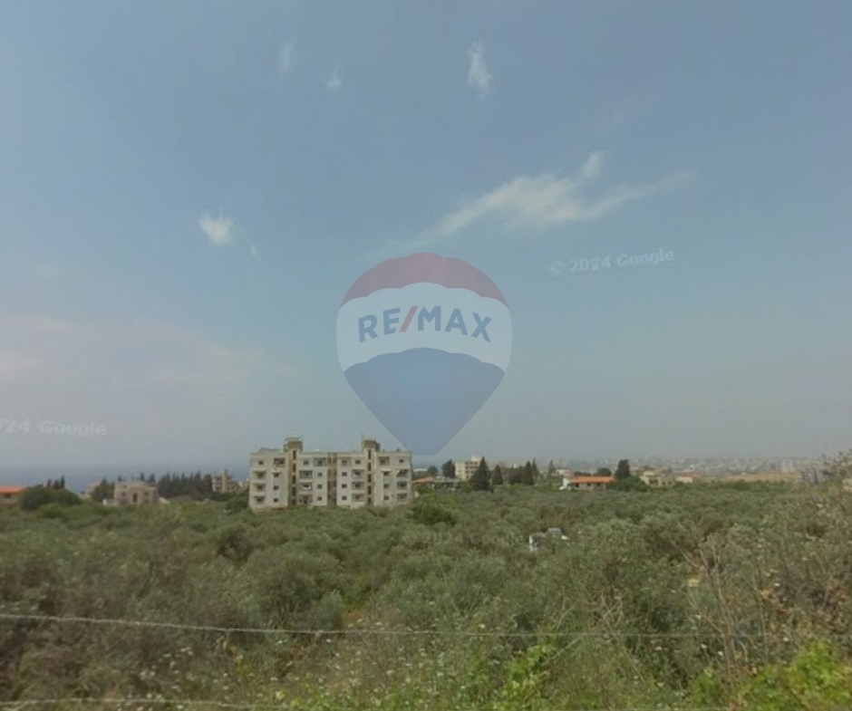 R9-2079 أرض للبيع في رسمسقا – الكورة، 10,000 م²، تصنيف 25/50 — الصورة 1 من 3