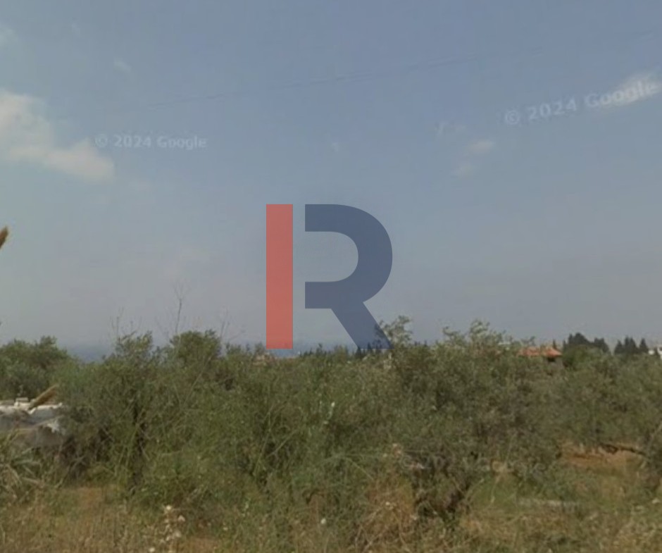 R9-2079 أرض للبيع في رسمسقا – الكورة، 10,000 م²، تصنيف 25/50 — الصورة 3 من 3