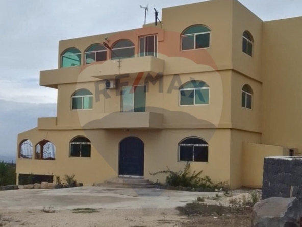 الصورة 1 من 6