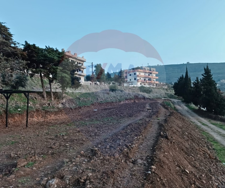 R9-2153  Agricultural Land 8000m with Building 600m for sale in Bireh Akkar — Photo 4 of 5