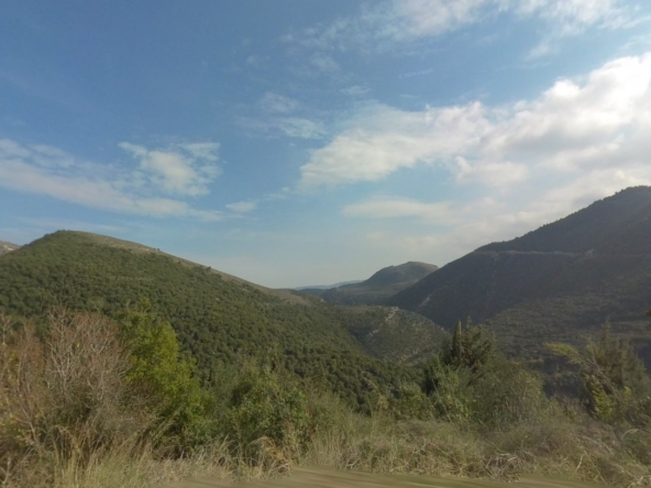 الصورة 1 من 2