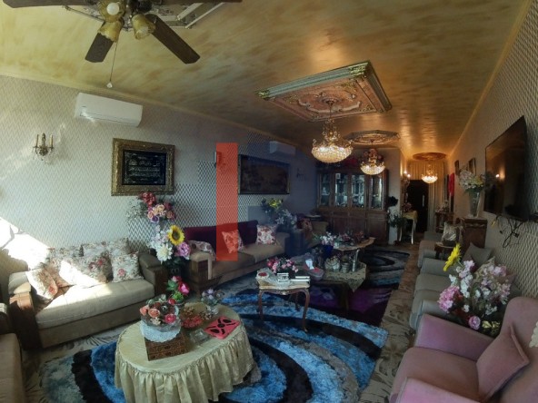 الصورة 1 من 11