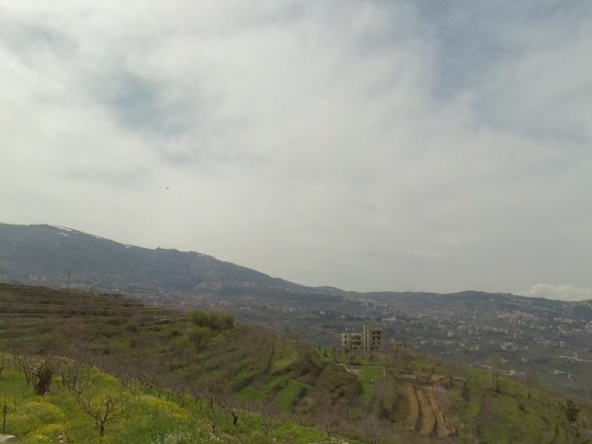 الصورة 1 من 2