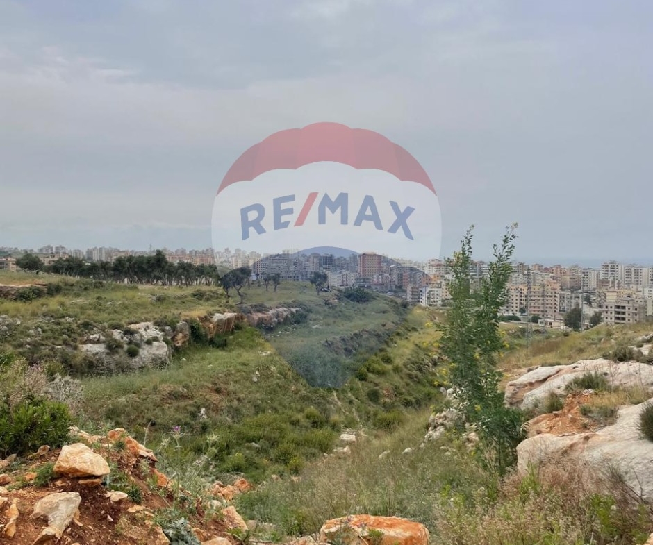 R9-2343 Industrial Land for Sale Between Mejdlaya and Terbol – North Lebanon — الصورة 2 من 4
