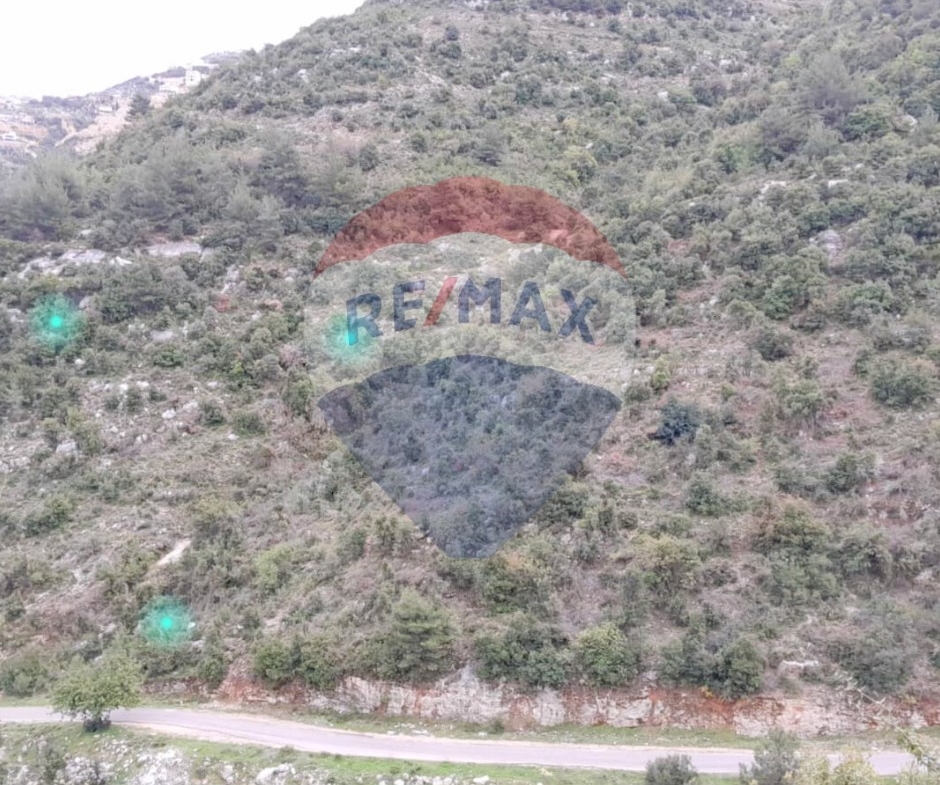 R9-2355 Land for sale in Danniyeh – North Lebanon — الصورة 2 من 2