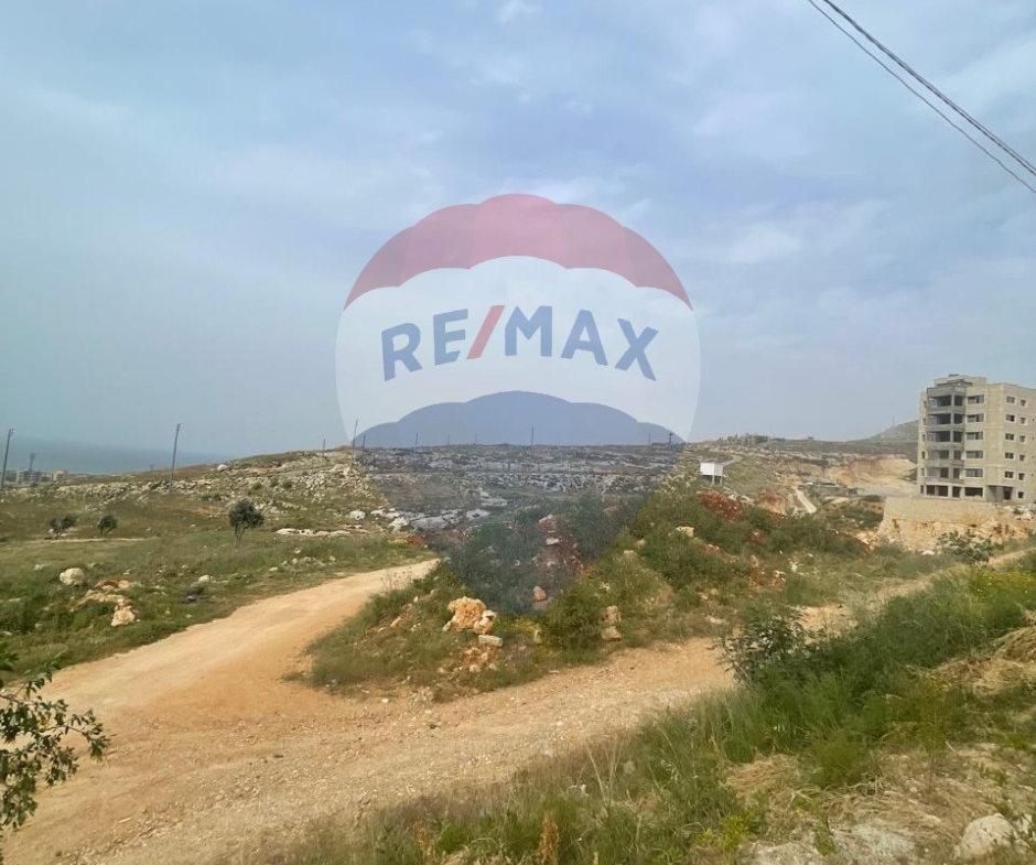 R9-2343 Industrial Land for Sale Between Mejdlaya and Terbol – North Lebanon — الصورة 3 من 4