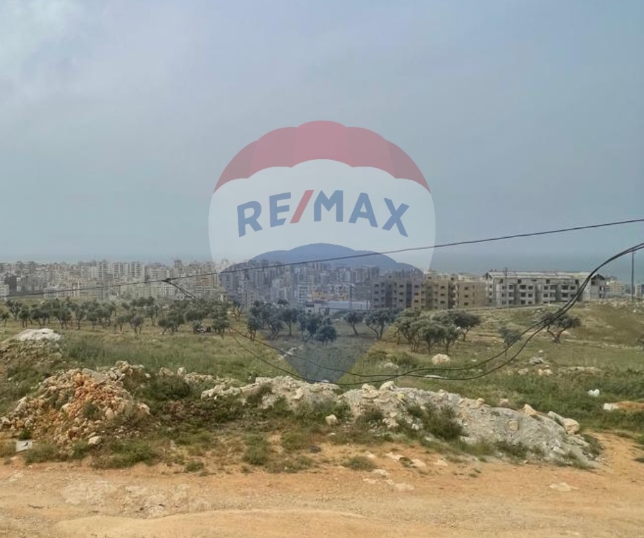 R9-2343 Industrial Land for Sale Between Mejdlaya and Terbol – North Lebanon — الصورة 4 من 4