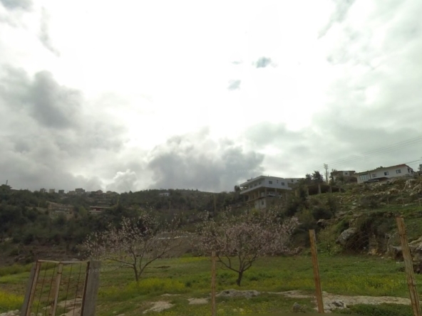 الصورة 1 من 2