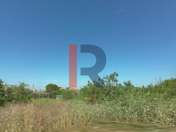 الصورة 1 من 2