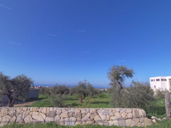 الصورة 1 من 2