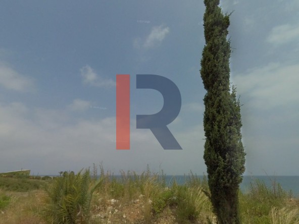 الصورة 1 من 2