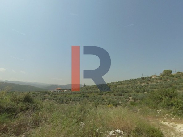 الصورة 1 من 2