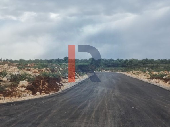 الصورة 1 من 2
