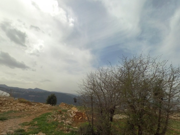 الصورة 1 من 2