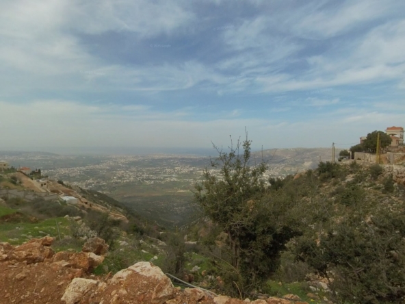 الصورة 1 من 1