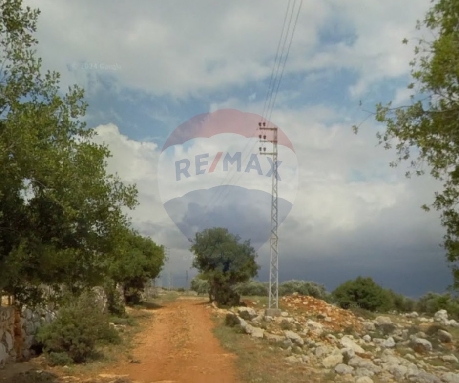 R9-2499 Land 4970m² for Sale in Nakhleh – Koura — الصورة 2 من 2