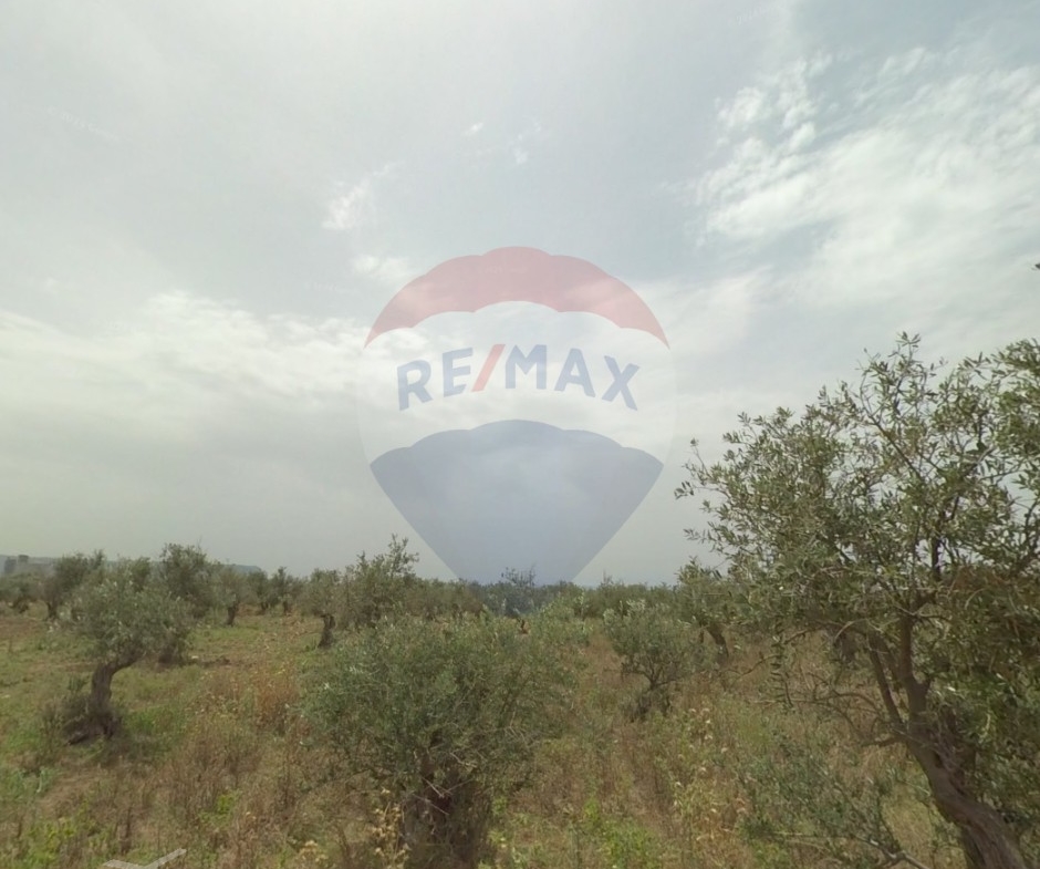 R9-2484 Industrial Land 424m for Sale in Anfeh – Chekka — الصورة 2 من 3