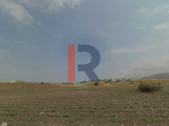 الصورة 1 من 4