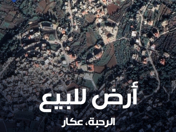 الصورة 1 من 4