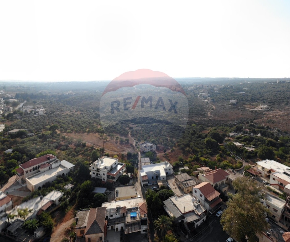 R9-2532 Land for Sale in Aaba – Koura — Photo 2 of 4