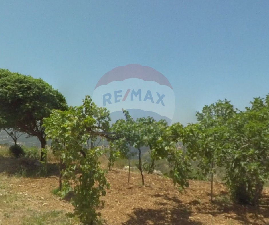 R9-2533 Land for Sale in Dar Bechmezzine – Koura — Photo 2 of 3