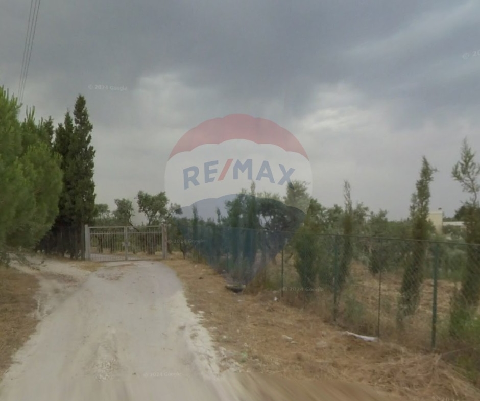 R9-2522 Land 23,077m² for Sale in Barghoun – Koura — الصورة 2 من 4
