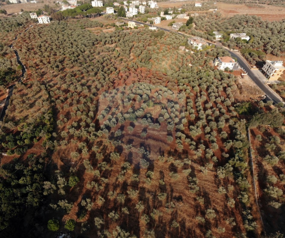 R9-2532 Land for Sale in Aaba – Koura — Photo 3 of 4