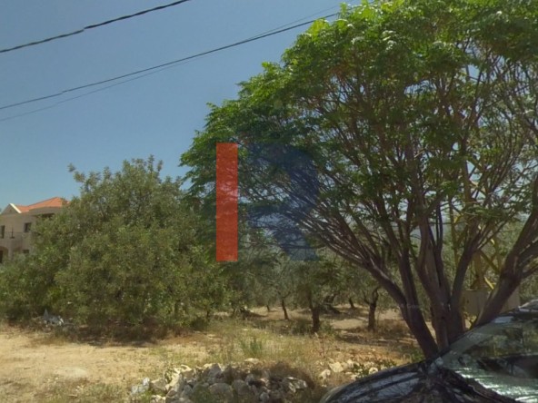 الصورة 1 من 4