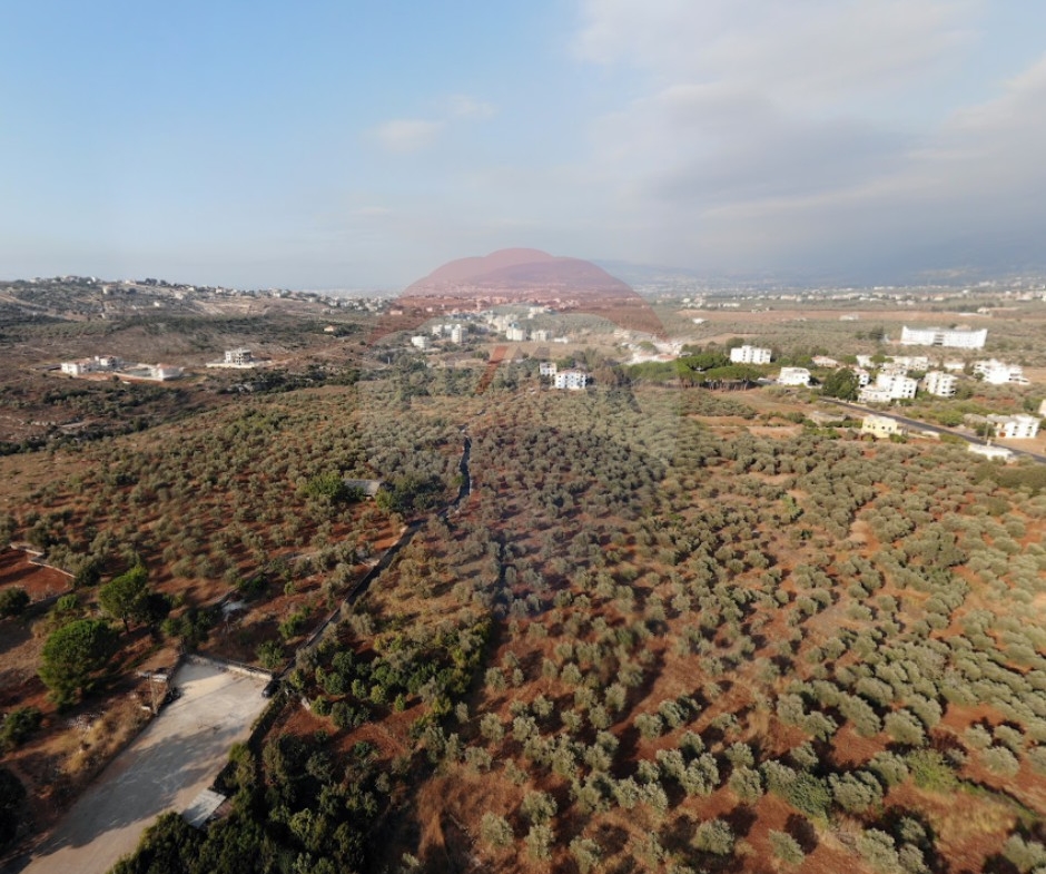 R9-2532 Land for Sale in Aaba – Koura — Photo 4 of 4