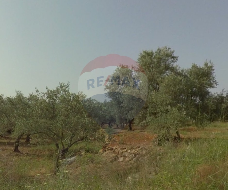 R9-2576 Land 2108m for Sale in Kfarkahel - Koura — الصورة 3 من 3