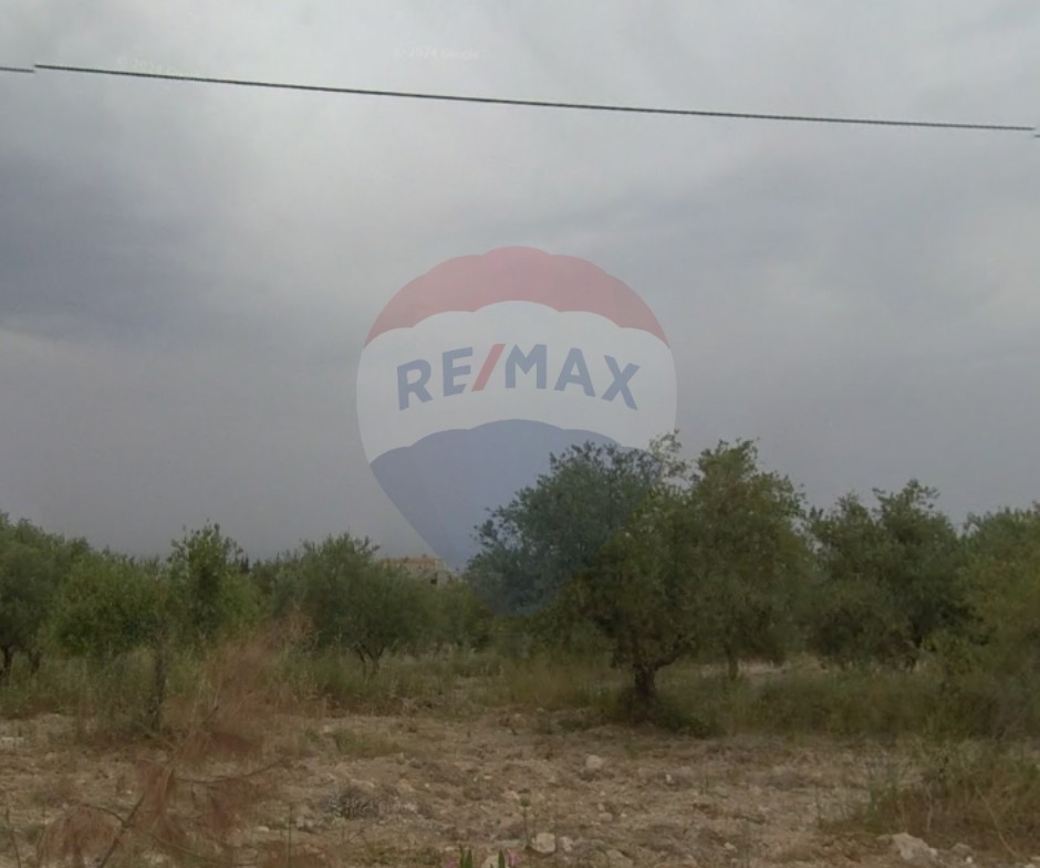 R9-2522 Land 23,077m² for Sale in Barghoun – Koura — الصورة 4 من 4