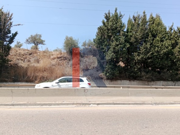 الصورة 1 من 4