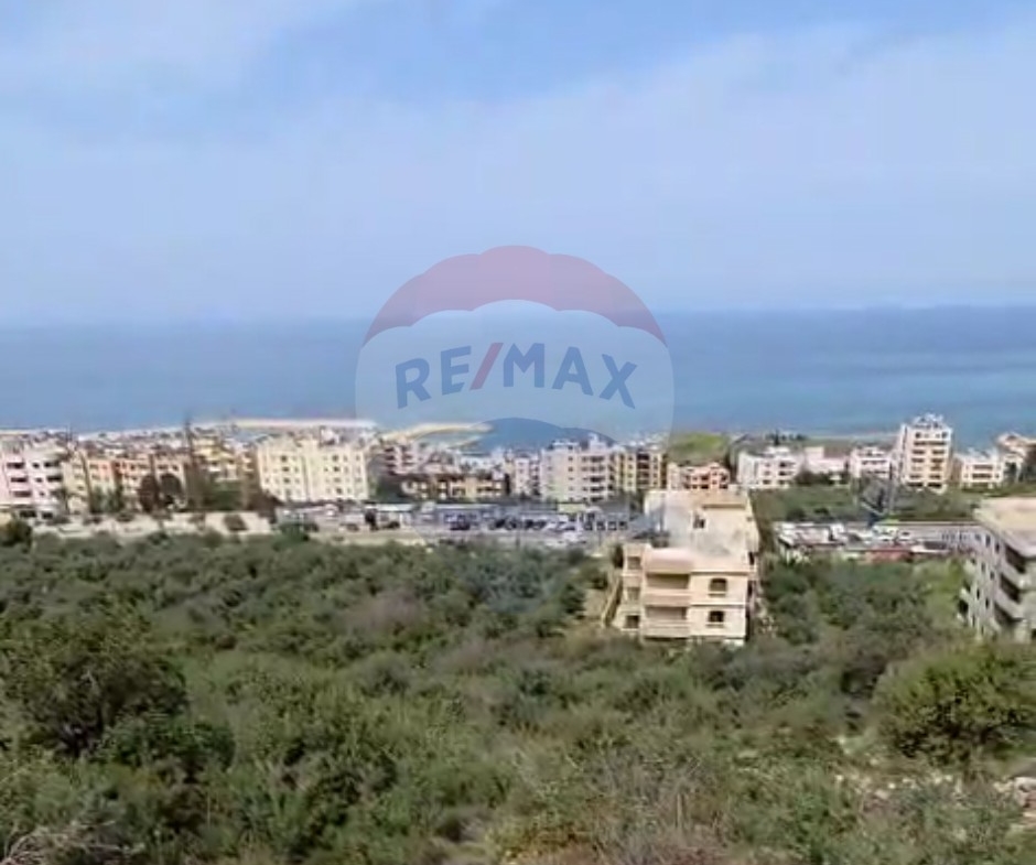 R9-2689 Land for Sale – Qalamoun Highway, Tripoli — الصورة 2 من 3