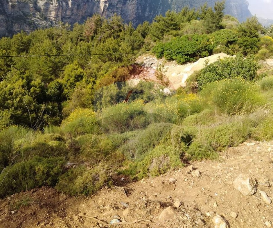 R9-2695 Land for Sale – Ehden Highway, North Lebanon — Photo 2 of 2