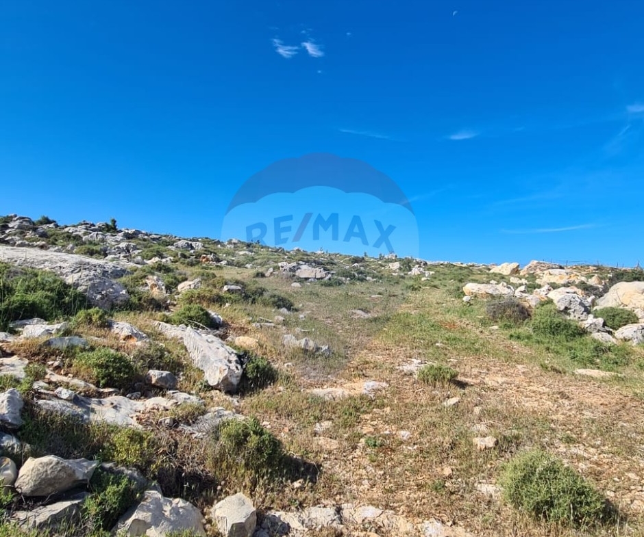 R9-2636 Land for Sale in Izal Danniyeh – 986 m²أرض للبيع في إيزال الضنية – 986 متر مربع — الصورة 2 من 4