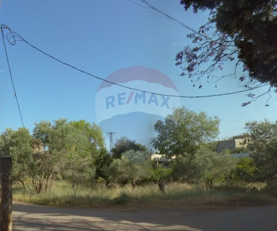 R9-2625 Land for Sale – Nakhleh, Koura — الصورة 2 من 3
