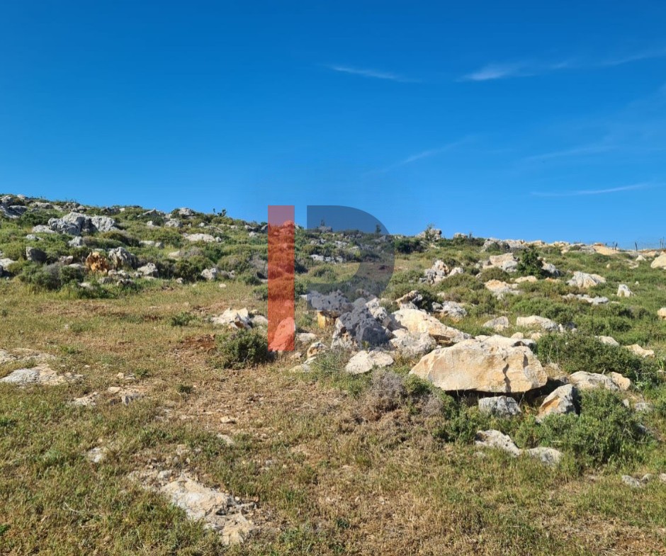 R9-2636 Land for Sale in Izal Danniyeh – 986 m²أرض للبيع في إيزال الضنية – 986 متر مربع — الصورة 3 من 4