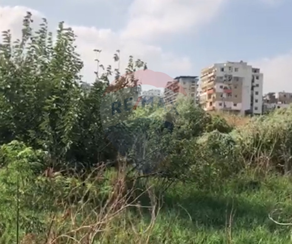 R9-2587 Land 1,377m for Sale in Baddawi – Tripoli — الصورة 3 من 5