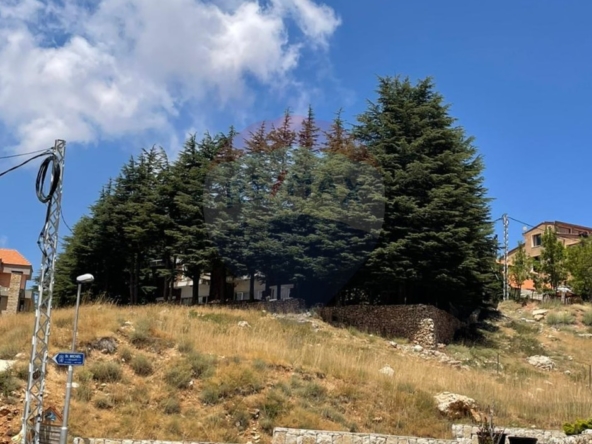 R9-2683 Chalet for Rent – Arz Bcharre, North Lebanon — Photo 3 of 6