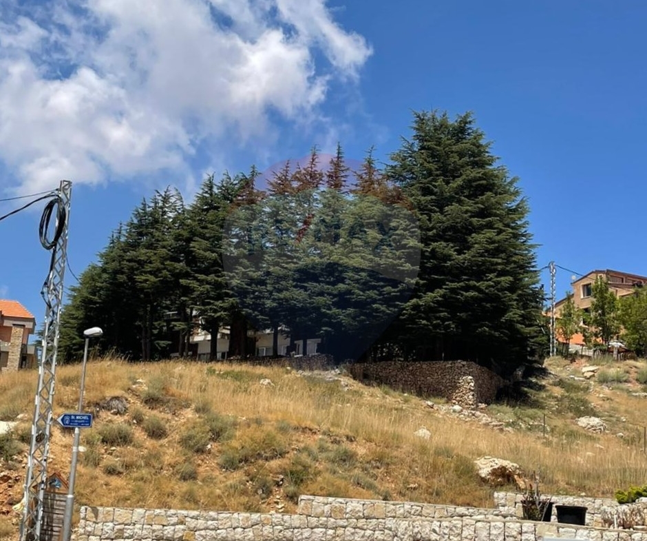 R9-2683 Chalet for Rent – Arz Bcharre, North Lebanon — Photo 3 of 6
