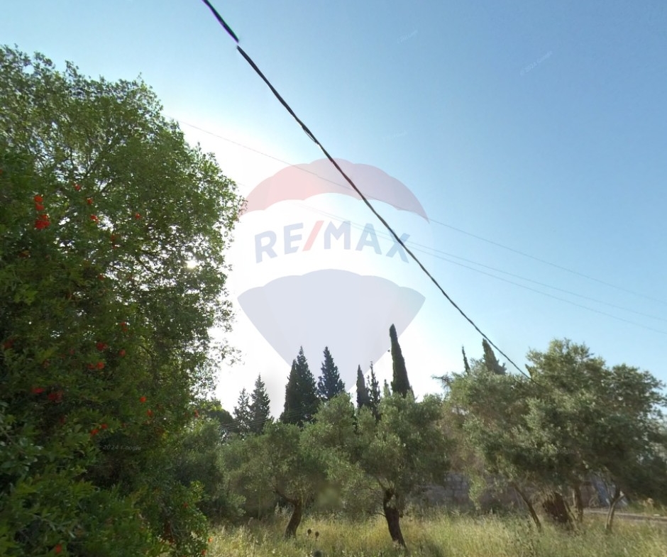 R9-2625 Land for Sale – Nakhleh, Koura — الصورة 3 من 3