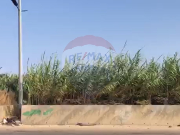 R9-2587 Land 1,377m for Sale in Baddawi – Tripoli — الصورة 4 من 5