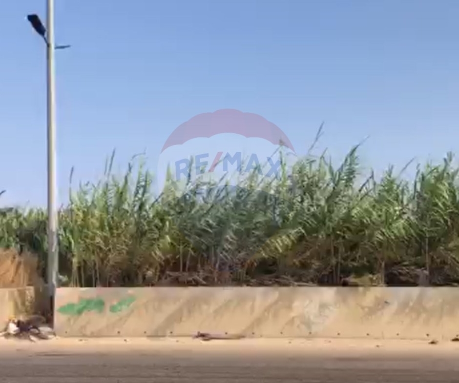 R9-2587 Land 1,377m for Sale in Baddawi – Tripoli — الصورة 4 من 5