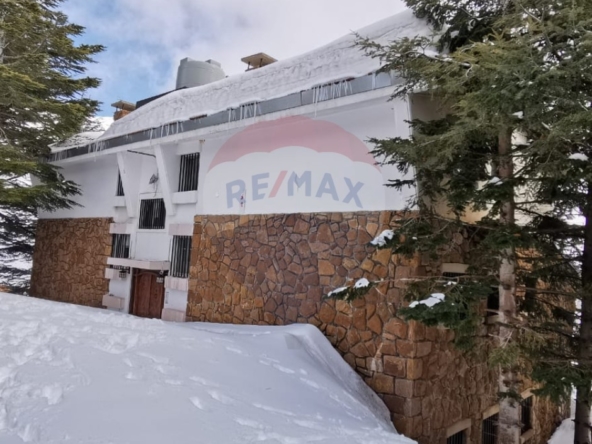 R9-2683 Chalet for Rent – Arz Bcharre, North Lebanon — Photo 4 of 6