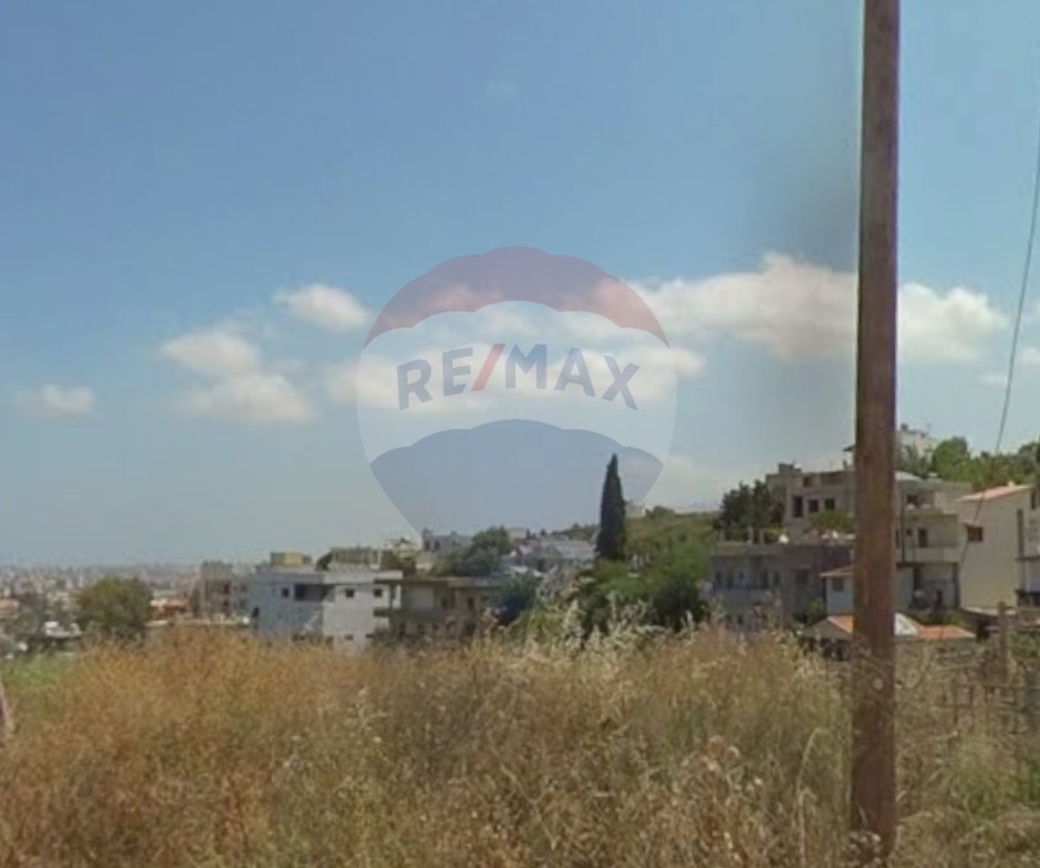 R9-2821 Prime Plot in Koura – Zoned 25/50 — الصورة 2 من 3