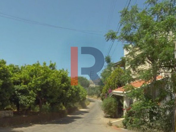 الصورة 1 من 3